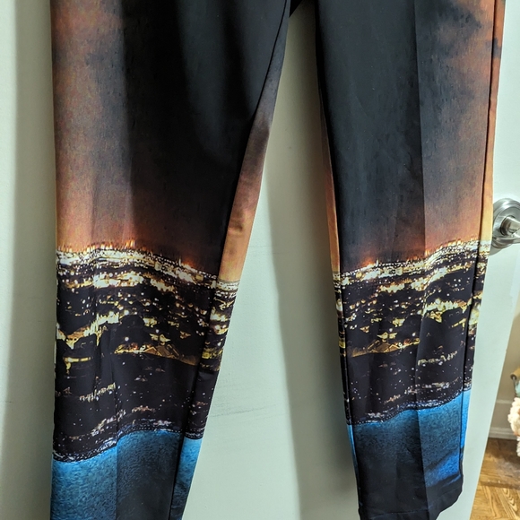 CLOVER CANYON PANTS - Picture 3 of 6